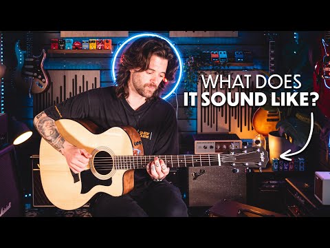 Looping With the Taylor 114ce Grand Auditorium All Gloss | No Chat, Just Sounds