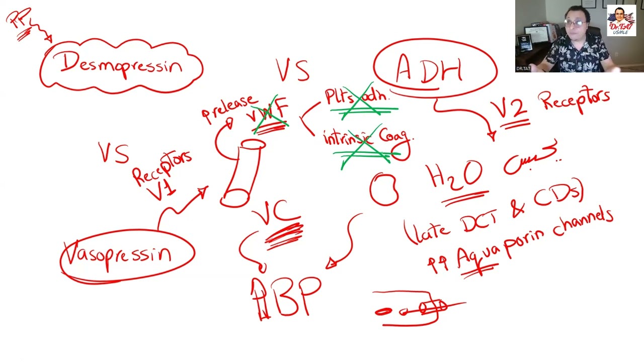 DR TA7: BLOOD PHARMACOLOGY 3
