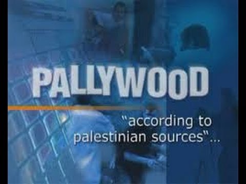 JosuGomitas’s Video 124701415914 X0qdShy2LrA