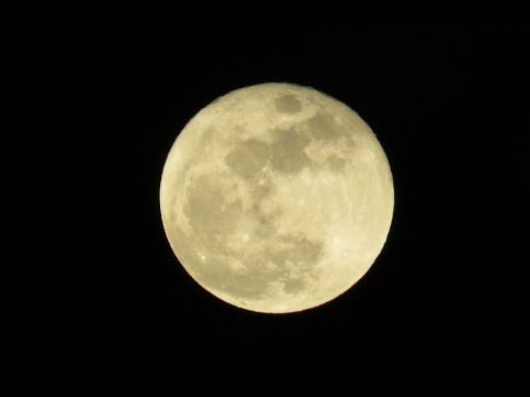 Polna Luna, 24. januar 2016