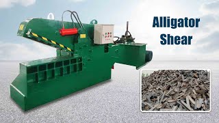 Can You Guess How Sharp Hydraulic Alligator Shears Are? Here's How they Cut Scrap Metal to Recycle