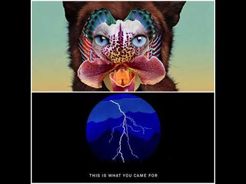You came for no money(galantis vs Rihanna)