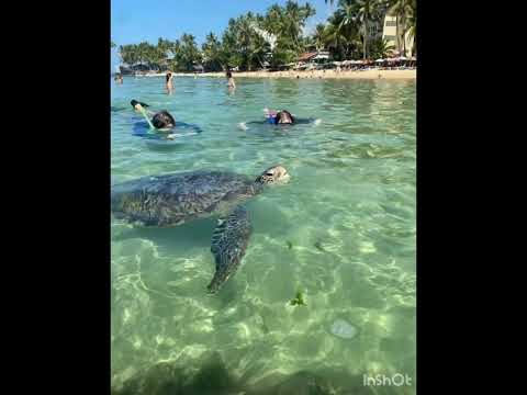 Travel with Dilshan (ඩිලා ). Jungle beach unawatuna