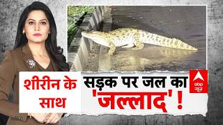 Viral Video | Gujarat Flood के बीच सड़क पर निकला मगरमच्छ! | Vadodara Shock