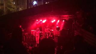 A Giant Dog - Photograph *Live in Austin, Texas 11-15-2017*