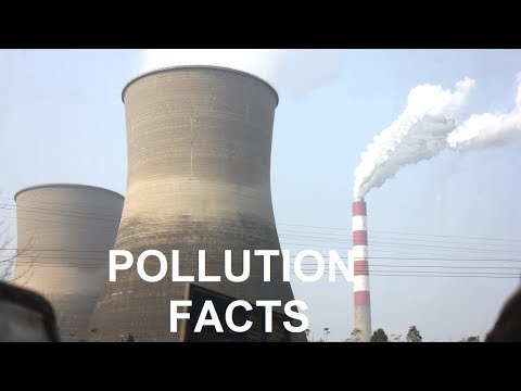 What are the Causes and Types of Pollution?