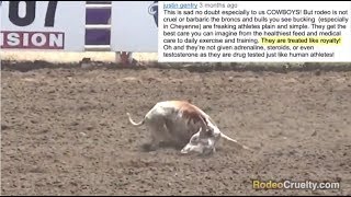 Rodeo Animals are &quot;Treated Like Royalty?&quot;