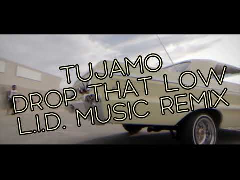 Tujamo - drop that low (L.I.D. Music remix)