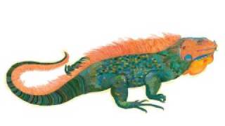 Larkin Grimm - They Were Wrong