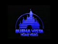 Buena Vista Home Video 2004