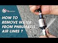 How to remove moisture from pneumatic system by Lematec air water separator filter for air tools