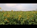 Daniel Landa Touha Lyrics