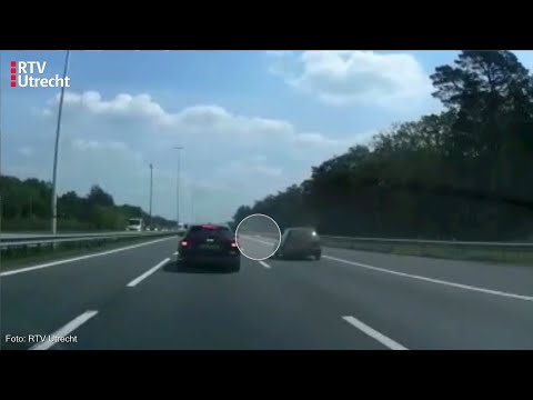 Hond op A12 zorgt voor lange file [RTV Utrecht]