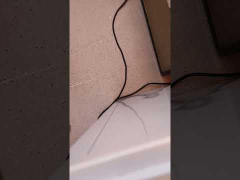 Marshall sc20c G10 greenback with FX loop attenuator. fender player strat, no pedals