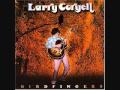 Larry Coryell ------ Half A Heart