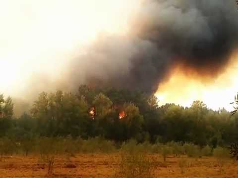 Incêndio Tomar 03/09/2012