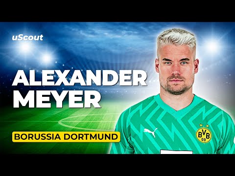 How Good Is Alexander Meyer at Borussia Dortmund?