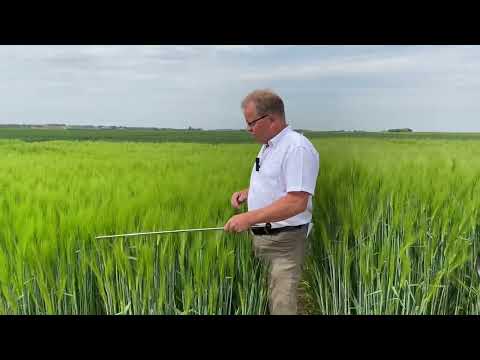 sgl on tour - Sortenversuche Gerste