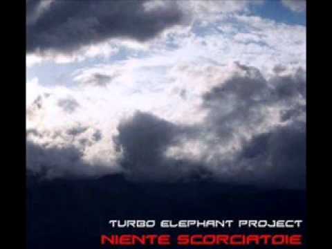 Turbo Elephant Project - No Smoking Area