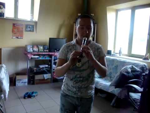 harry potter flute a bec