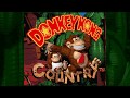 What If Donkey Kong Country Used DK S Old Design