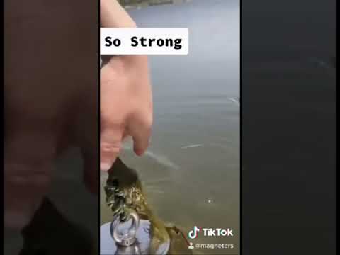 Magnet Fishing With The Most Powerful Magnet EVER Made - Unbelievable What I Found #33