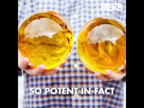 download lagu mp3 mp4 Dragon Ball Weed, download lagu Dragon Ball Weed gratis, unduh video klip Download Dragon Ball Weed Mp3 dan Mp4 Youtube Gratis