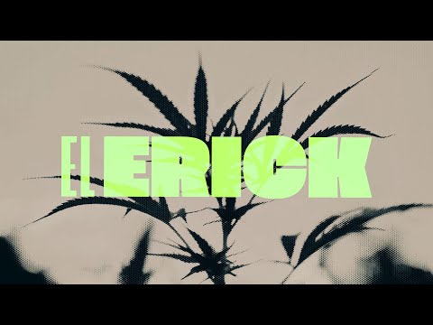 Neton Vega - El Erick (Liryc Video)
