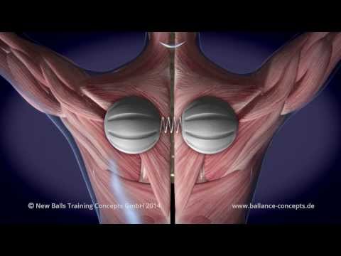 Warum Rückenschmerzen nach schweren Lasten Als Heilmittel Arthritis Schultergelenk