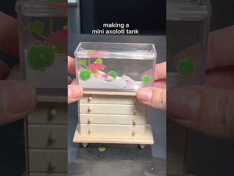 making a mini axolotl tank