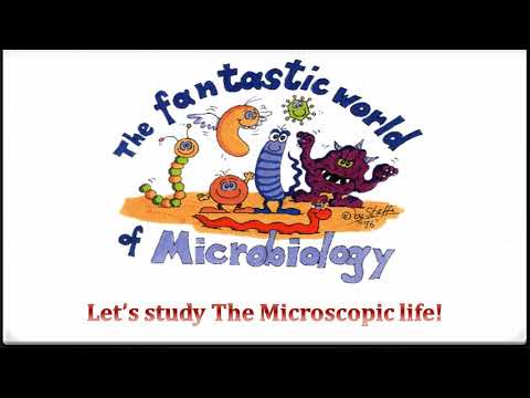 What are Extremophiles??