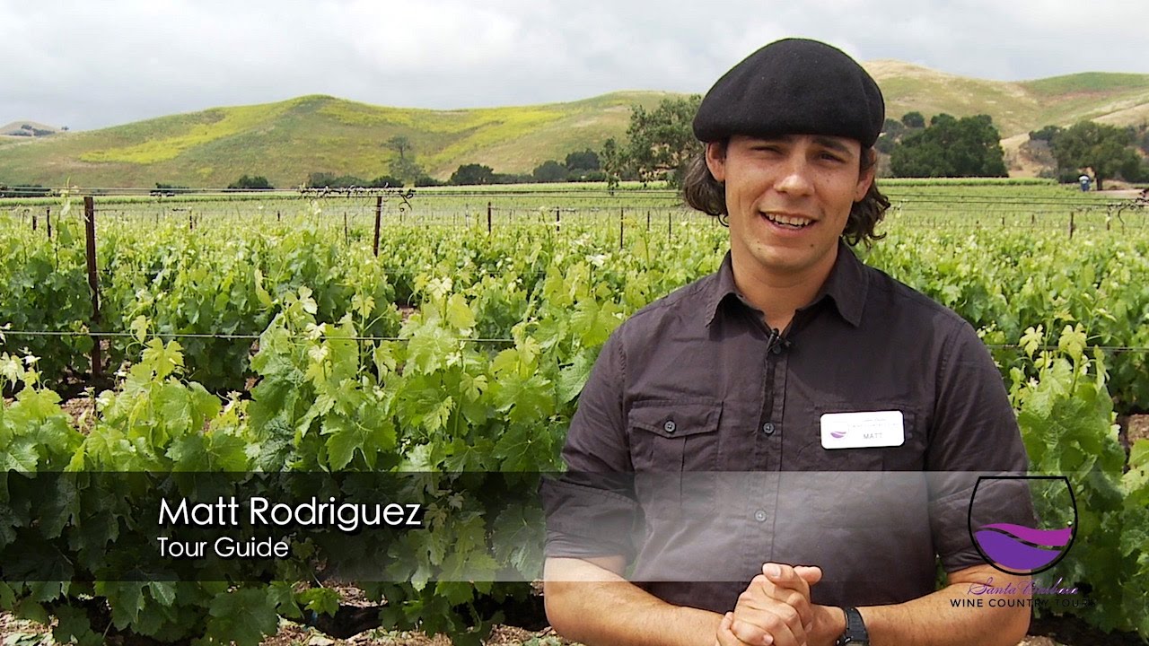 Santa Barbara Wine Country Tours - Santa Barbara, CA