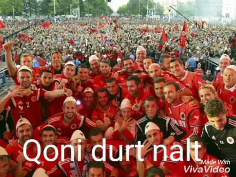 Qoni durt nalt Albania