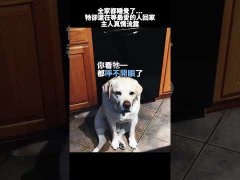 牠值得所有讚美❤️‍🩹