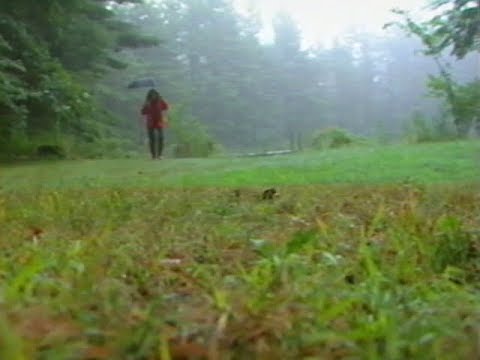 "A Video Visit With Lynne Cherry" VHS (1998) (The Trumpet Club)