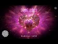 Silent Sphere - Radical Love