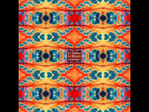 Ev Darko - Blue Room (Audioflakes remix)