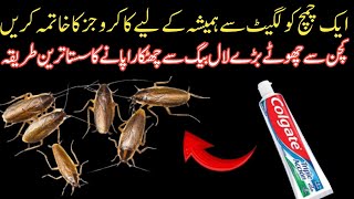 Get rid of cockroach|kitchen tips | Howto control cockroach at home Tamil
