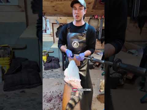 Wildlife managers rely on trapping as an important tool for regulating wildlife populations