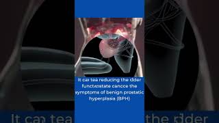 green tea for prostate health - green tea and prostate health - nutrition medicines updates #shorts
