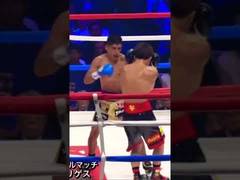 井上尚弥「ガードとディフェンス能力」#shorts#ボクシング#boxing#井上尚弥#naoyainoue#ボクシング世界チャンピオン#ボクシング世界戦#モンスター