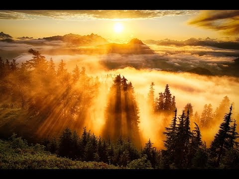 Relax - Buddhist Meditation Music - Zen Garden - Kokin Gumi