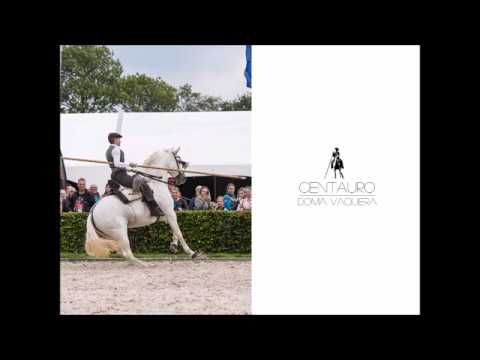Centauro - Basic Doma Vaquera lesson 3: the halt - Theory