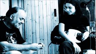 PJ Harvey - Sheela-Na-Gig (Peel Session)