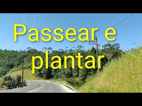 Passeando pelo interior de Massaranduba SC | Plantamos algumas plantas 🤠🌳🌴☀️