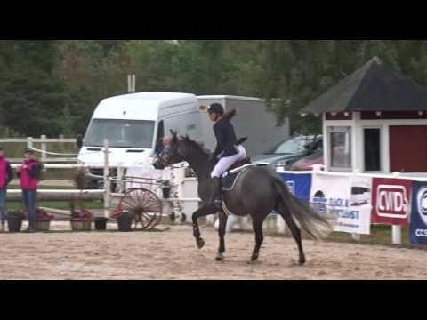 Casalca Z -2011, Casall x Corrado I, 1.20, 28/8-16