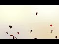 I'm free falling by Lugo 😀