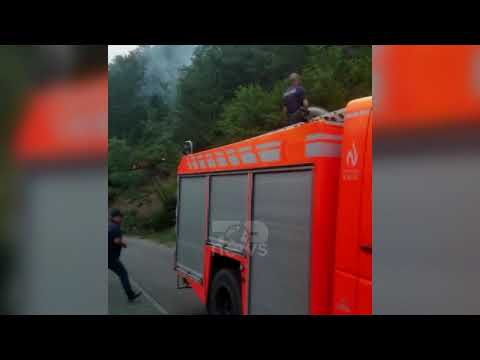 Top News - Shuhet zjarri në zonën e Vermoshit/ Pas 48 orësh luftë me flakët, situata nën kontroll