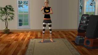 Sim 2 -Flyleaf Amy says