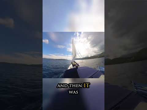 Learn Sailing: First Tacks and Coastal Adventures! #shorts